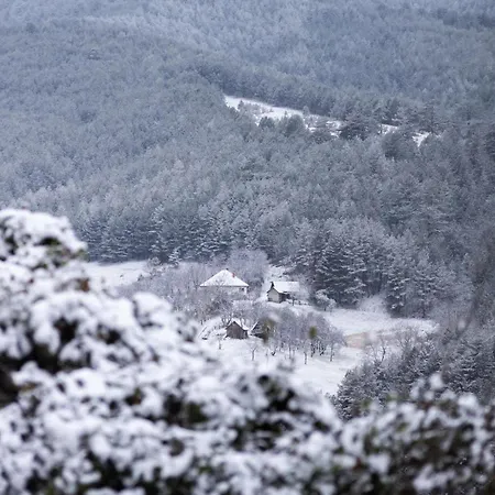 Brvnara Nina Ferienhaus *